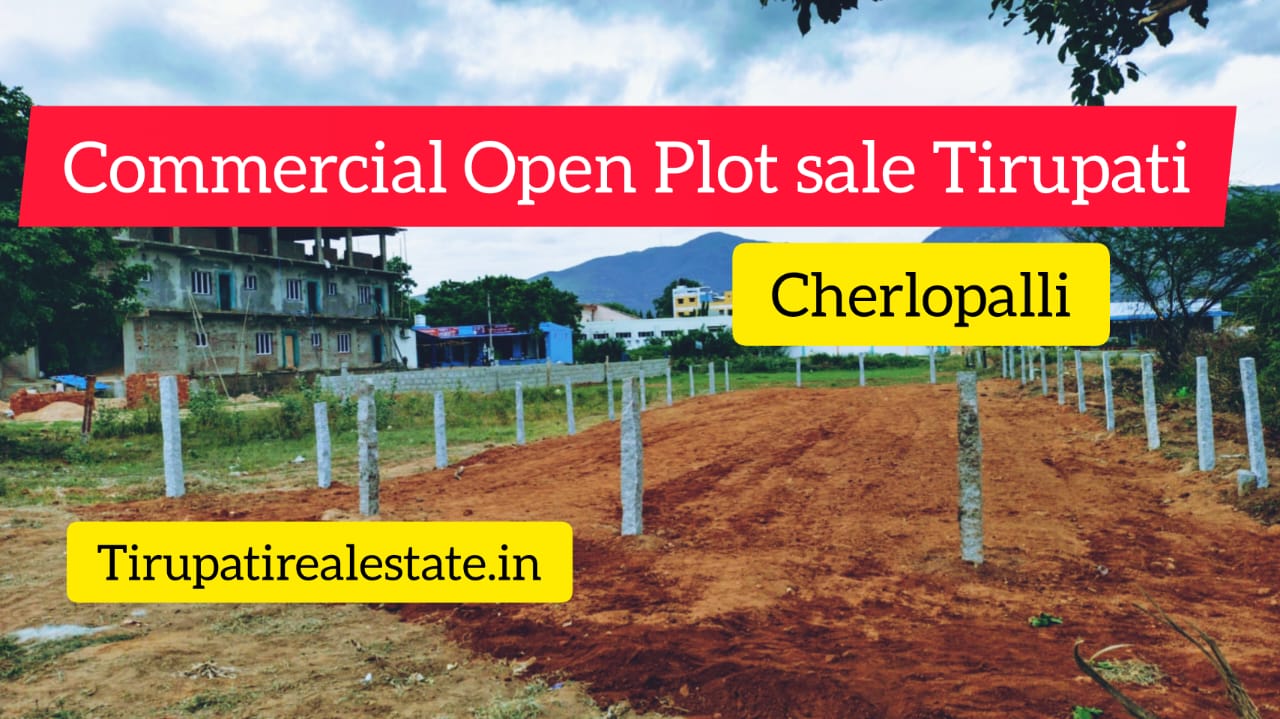 Commercial Open LAND sale Srinivasa Mangapuram Temple Near Tirupati Pileru Road
